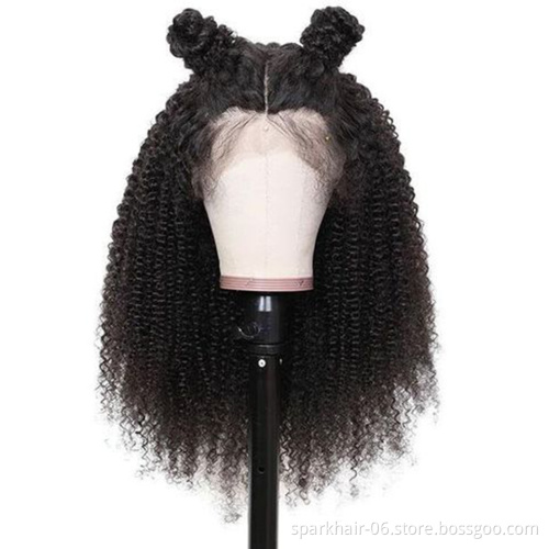 Grade 8A 9A 10A brazilian hair cheap 100% human hair lace wigs heavy density Full Lace Wig, Front Lace Wig